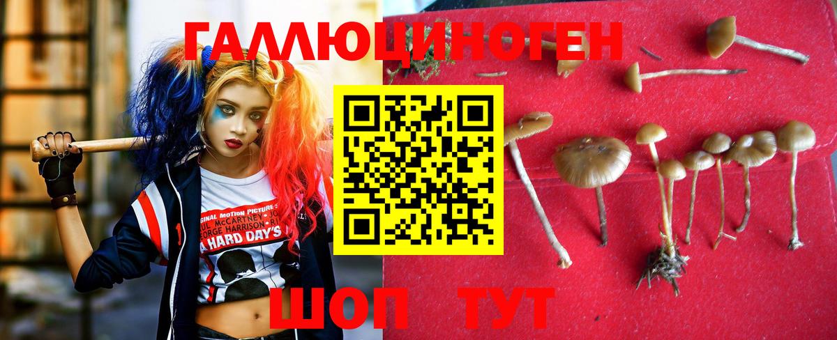 Галлюциногенные грибы мухоморы  Галлюциногенные грибы Psilocybe  Вход с VPN  Москва 